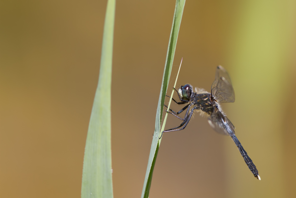 img_5765-edit