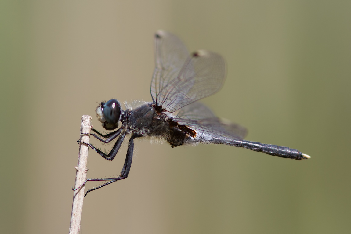 img_5787-edit
