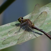 img_9620-edit