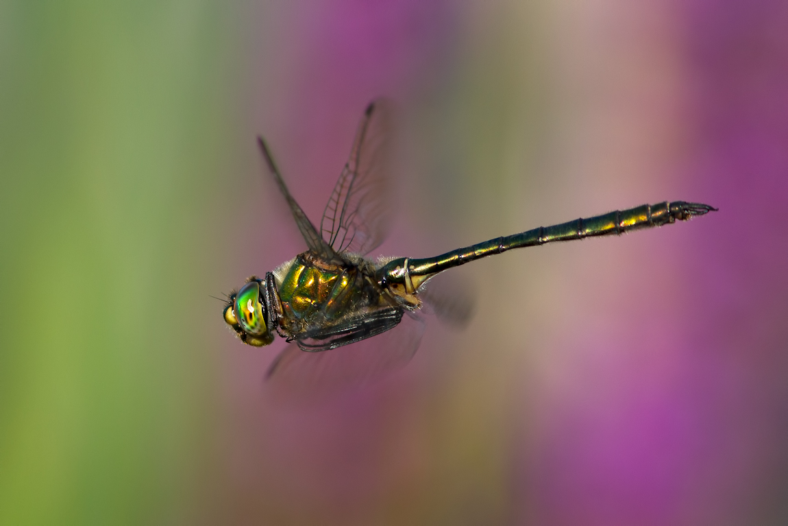 img_7186-edit