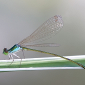 img_7474-edit-edit