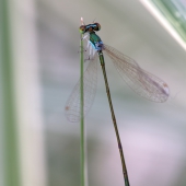 img_7494-edit-edit