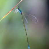 img_7645-edit
