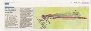 Tak moje šidélko ruměnné nejen vyhrálo, ale dostalo se i do dnešních anglických Timesů