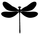 Poznáte vážky? 2 / Do you know dragonflies well? No.2